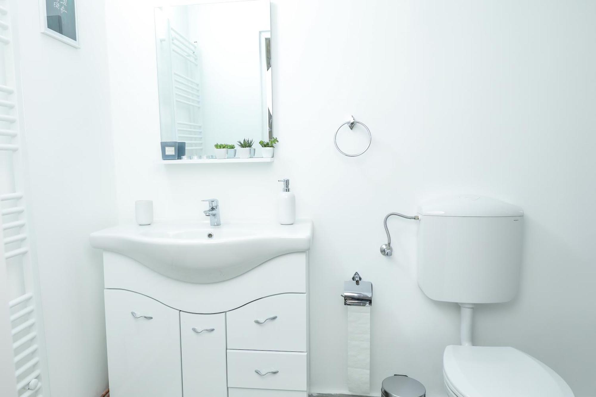 Sub-Level Urban Apartment Κλουζ-Ναπόκα Εξωτερικό φωτογραφία